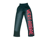 Vertabrae Sweatpants Faded Green/Red