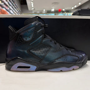 Jordan 6 Retro All-Star Chameleon (2017) Size 12 (Moderately Worn Pre-Owned)