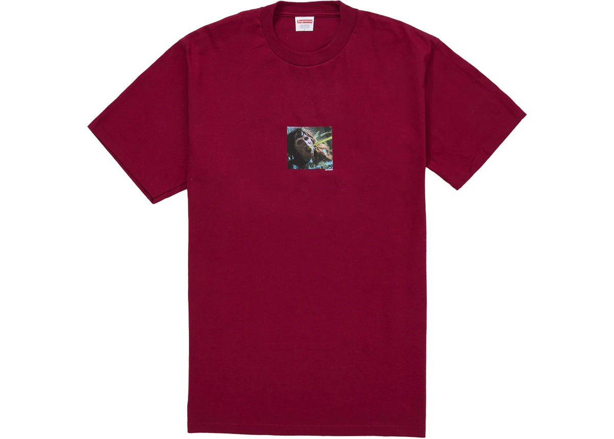 Supreme The Exorcist Puke Tee Cardinal