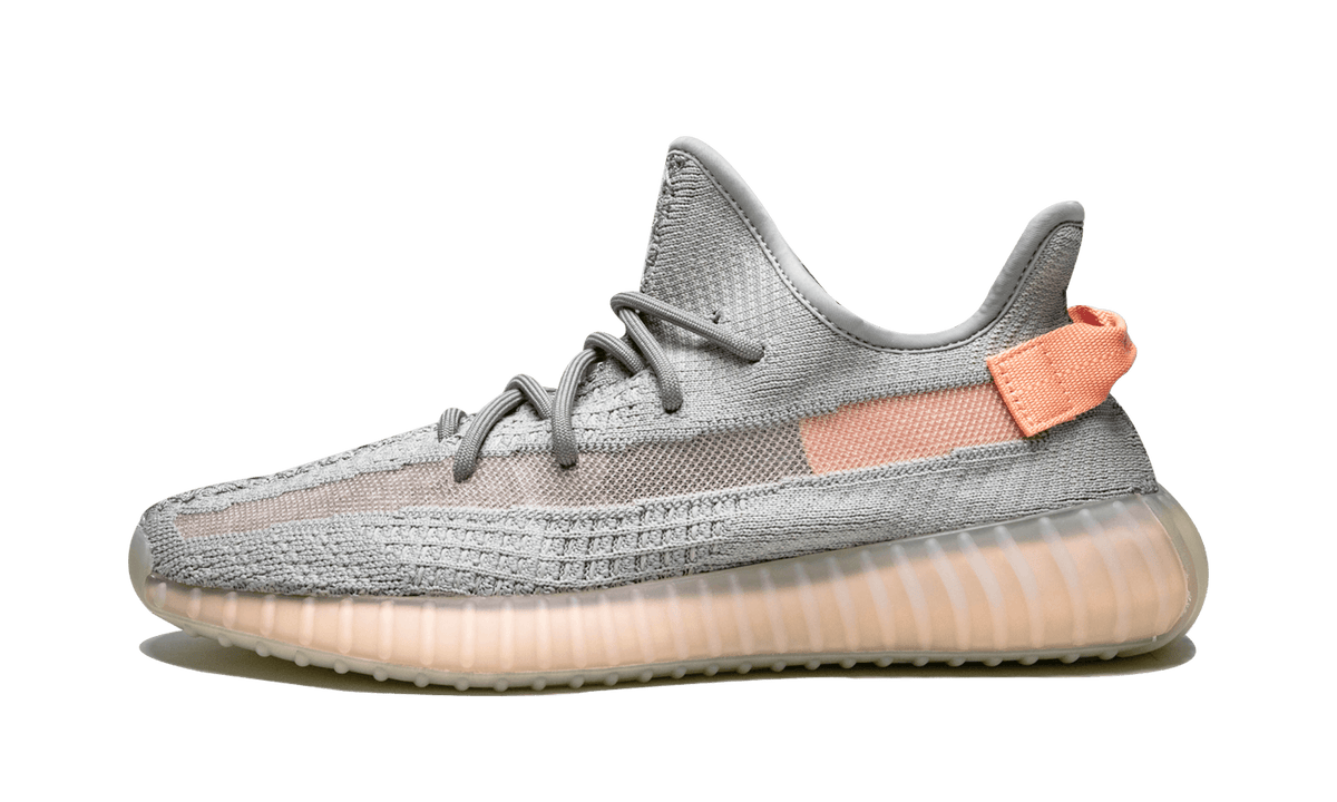 Adidas Yeezy Boost 350 v2 "True Form"