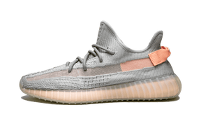 Adidas Yeezy Boost 350 v2 "True Form"